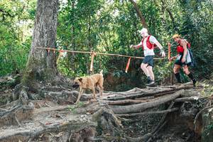 BIB: 
                            <button type="button" onclick="openModal(27742882)" class="btn btn-primary btn-sm float-right btn-popup" data-toggle="modal" data-target=".modal-high-quality">
                        <i class="fas fa-shopping-cart"></i> Add to Cart
                    </button>
                                            <button type="button" onclick="isThisMe(27742882, true)" class="btn btn-success btn-sm float-right btn-popup btn-isme hidden" data-toggle="tooltip" data-placement="bottom" title="นี่คือรูปของคุณใช่ไหม คลิกที่นี่เพื่อเอาเข้าอัลบั้ม">
                        <i class="fas fa-plus"></i> Add to album
                    </button>
                    <button type="button" onclick="isThisMe(27742882, false)" class="btn btn-warning btn-sm float-right btn-popup btn-isnotme hidden">
                        <i class="fas fa-ban"></i> Remove from album
                    </button>